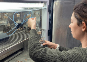 Sustainable shrimp, seaweed and oyster farming