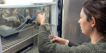 Sustainable shrimp, seaweed and oyster farming