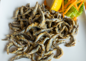 Eating small fish offers great benefits