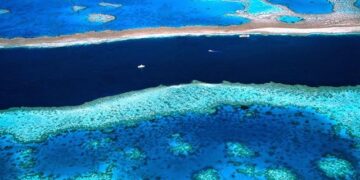 Alarming ocean temperatures for the Great Barrier Reef
