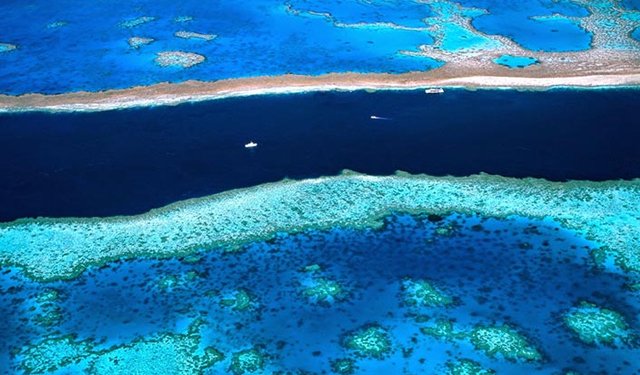 Alarming ocean temperatures for the Great Barrier Reef