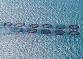 Malta explores public perception of aquaculture