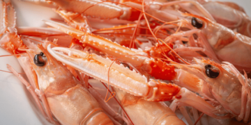 Mediterranean hake and Norway lobster stocks at risk