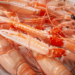 Mediterranean hake and Norway lobster stocks at risk