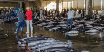 Planet Tracker report on China's deep-sea fishing fleet