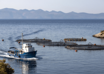 Animal welfare: opportunities and challenges for aquaculture in Europe