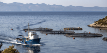 Animal welfare: opportunities and challenges for aquaculture in Europe