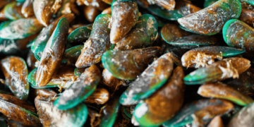 Breakthrough discovery on the green mussel genome