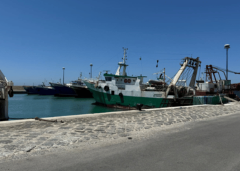 Fisheries. Opportunities for cooperation between Italy and Libya