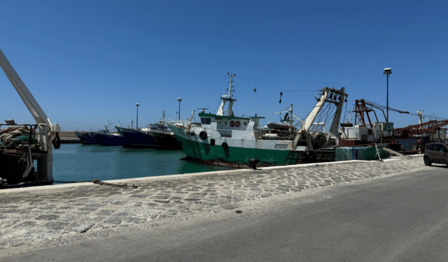 Fisheries. Opportunities for cooperation between Italy and Libya