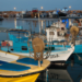 Artisanal fisheries at the centre of global sustainability efforts