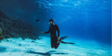 Mahmoud Ayman, Underwater Photography Journey in Marsa Alam Egypt