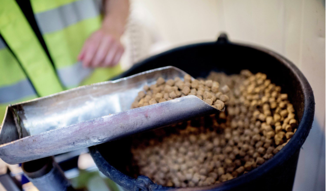 Raw Materials and Ingredients Used in Aquaculture Feed in East Africa