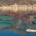 There is a hidden dependence of aquaculture on wild fish