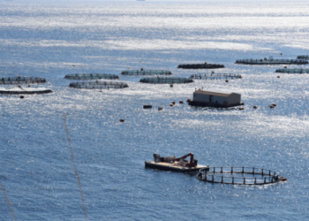 New code of good practice for fish welfare in aquaculture
