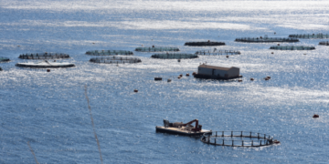 New code of good practice for fish welfare in aquaculture