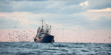 Progress Towards Sustainable Fisheries in the Mediterranean and Black Sea: Key Outcomes from the 47th GFCM Annual Meeting