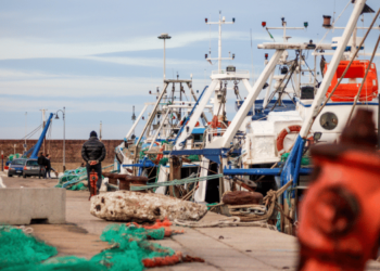 Old nets? New ropes!