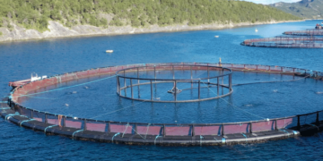 Aquaculture. Innovative electric barrier against jellyfish