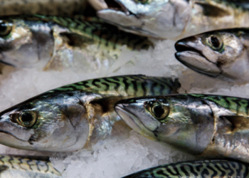 Fish proves an excellent ally against prostate cancer