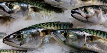 Fish proves an excellent ally against prostate cancer