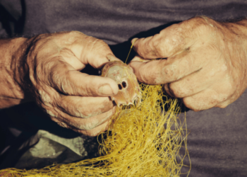 Innovating communication: personal and cultural relevance as the key to success