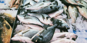 The challenge of certification in the seafood sector between sustainability and affordability