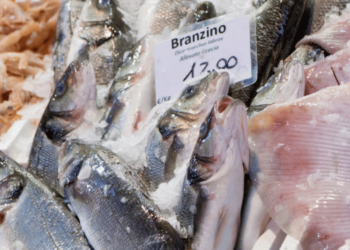 Aquaculture accelerates and overtakes poultry in protein production