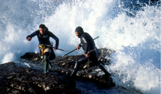 Percebes The 'Gold' of the Sea A future opportunity for aquaculture