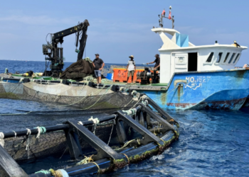 ADAPT Program Promoting sustainable transformation in agriculture, fisheries and aquaculture in Tunisia