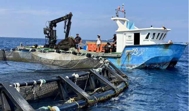 ADAPT Program Promoting sustainable transformation in agriculture, fisheries and aquaculture in Tunisia