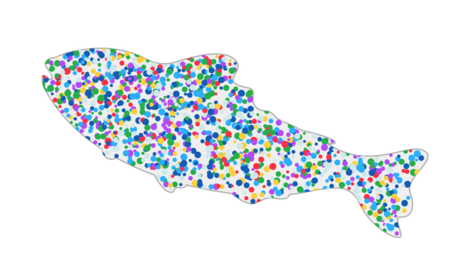 Fish and microplastics, a disturbing link that threatens our health