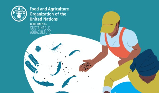 Sustainable aquaculture, opportunities and challenges for the sector's future