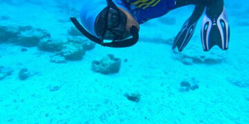 Farhiya Elmy: a hijab diver breaking barriers, transforming Tanzania’s Blue Economy through seaweed farming