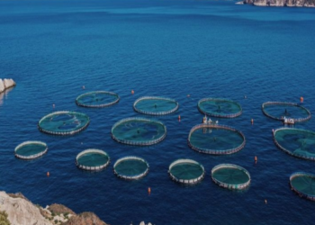 Aqua Bridge Group Expands in the Mediterranean with Acquisition of AVRAMAR’s Greek Operations