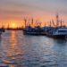 Subsidies, management and climate change world fisheries according to the OECD
