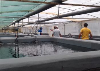 Aquaculture safety best practices and aquaculture hazards