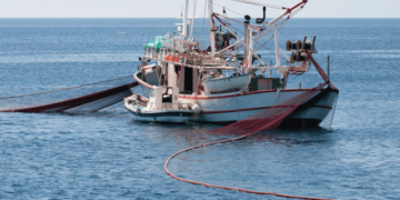 Keep following Pesceinrete for strategic updates on the evolution of the fishing sector and the blue economy