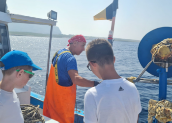 T.I.D.E. project takes off open call for fish tourism and ichthyic tourism operators