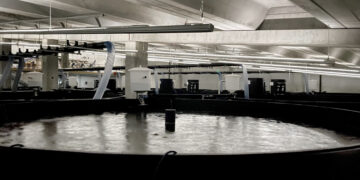 Making Future: AFRY’s contribution to the international aquaculture revolution with RAS