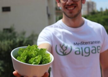 Mediterranean Algae: Unlocking the Blue Bioeconomy Potential of the Mediterranean