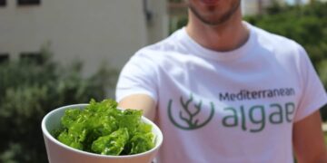 Mediterranean Algae: Unlocking the Blue Bioeconomy Potential of the Mediterranean