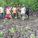 Lamu Bay’s Mangrove Revival: A Community-Led Beacon for Climate Resilience