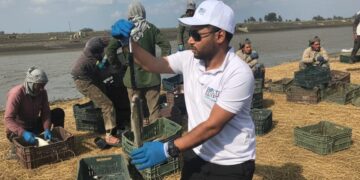 Wasseem Emam leads ethical change in African aquaculture.
