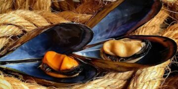 Cultmare, mussel and oyster farming in Algeria