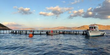 BlueAquaEdu Summer School: Bridging Science and Practice for a Sustainable Aquaculture Future