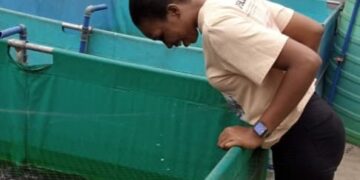 Empowering Youth and Women Through Sustainable Aquaculture in Nigeria: The Story of Constance Enyindah