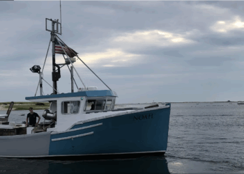 An Alternative Bright Future: Chatham Harvesters’ community-supported fisheries as a model for a sustainable and equitable future