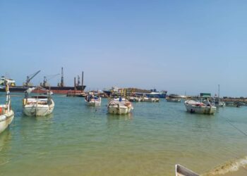 Ocean Acidification: Threat to Africa’s Blue Economy and Food Security