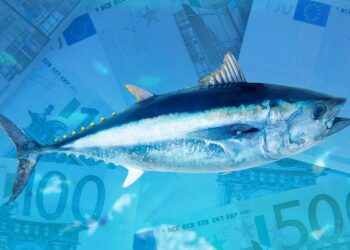 Malta: the state of the art of mariculture in the center of the Mediterranean Sea